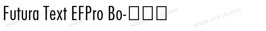 Futura Text EFPro Bo字体转换